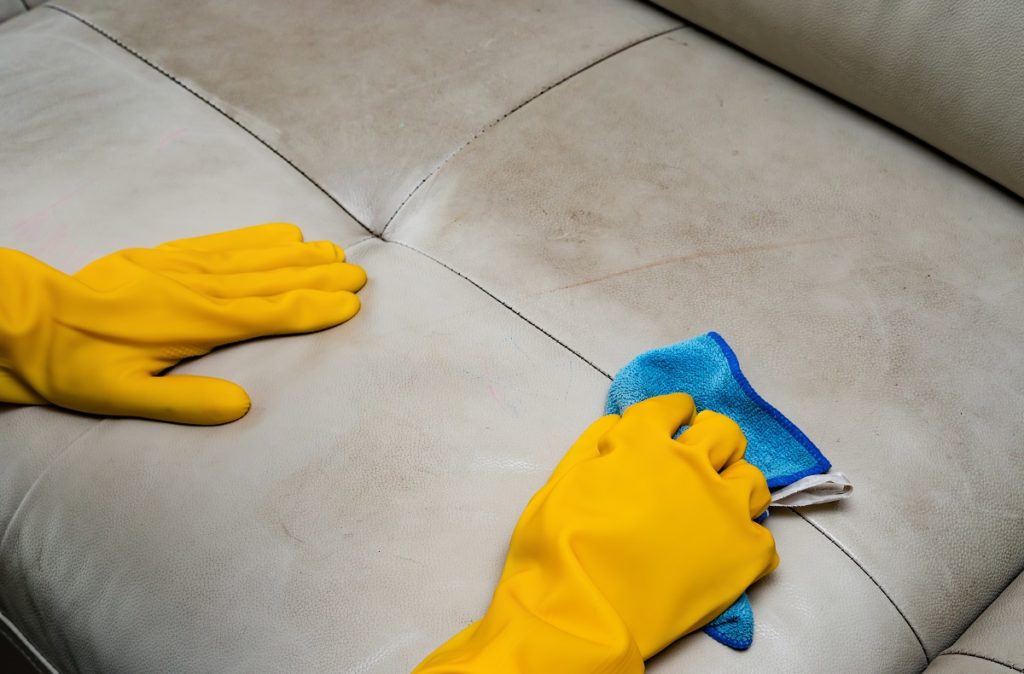 person cleaning the sofa